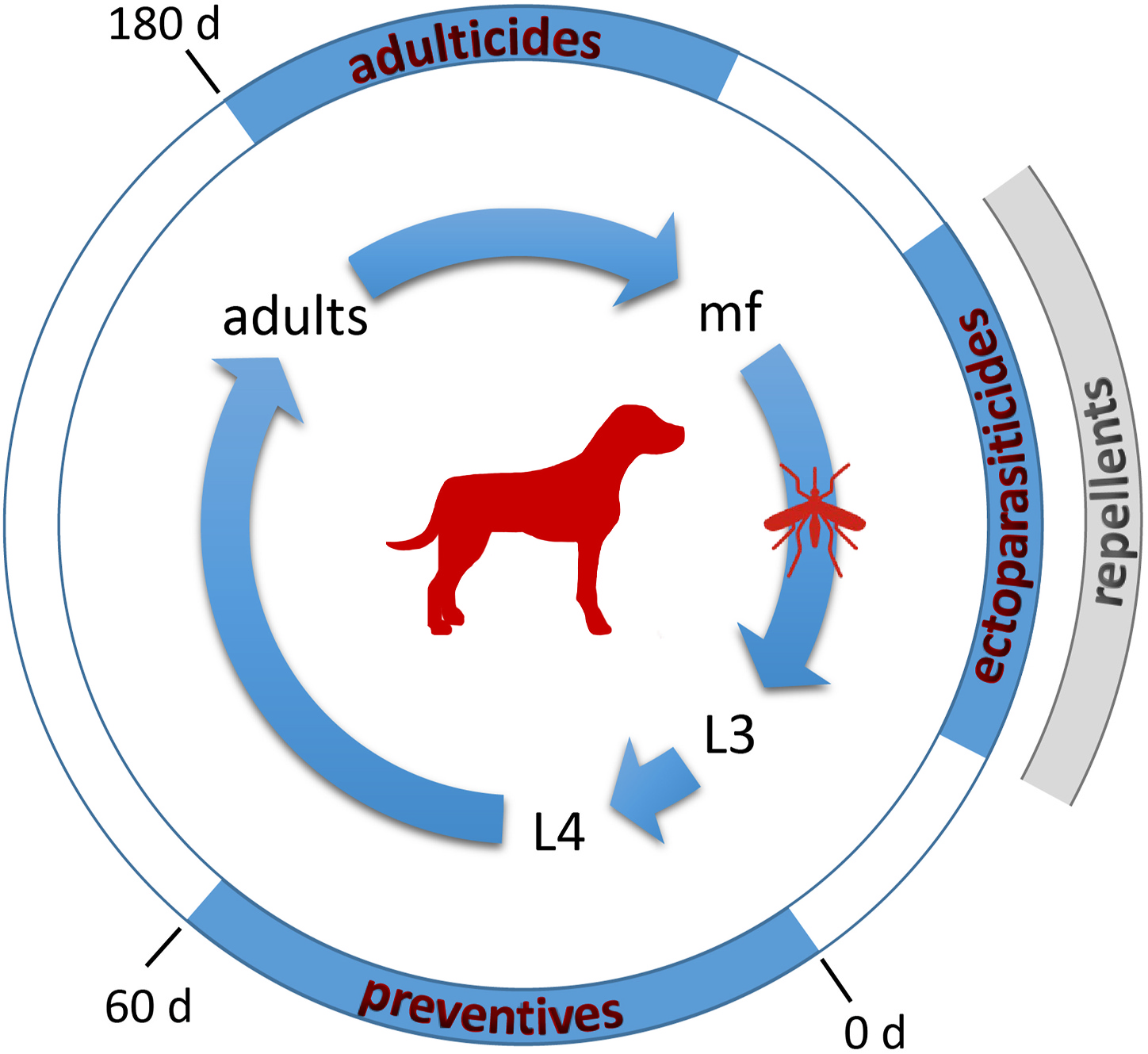 New approaches in the battle against heartworm disease Boehringer